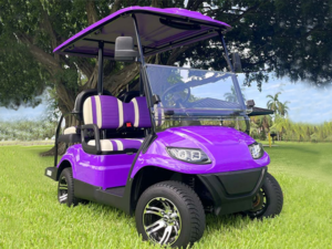 punta gorda golf cart repair, golf cart service, mobile repair