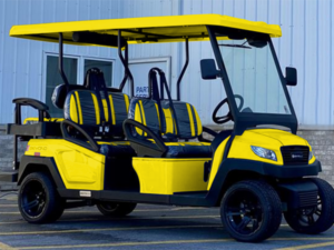 punta gorda golf cart repair, golf cart service, mobile repair